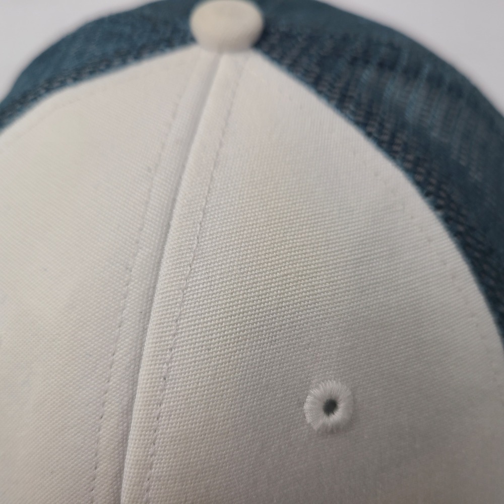 Patagonia Hat Snapback Trucker Mesh Blue White Live Simply Surf Car Logo Men - Picture 6 of 14